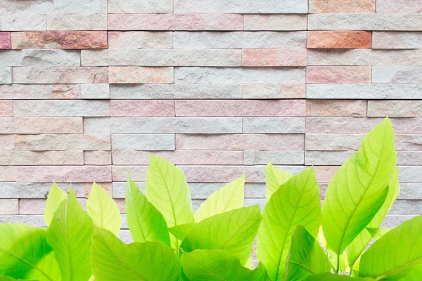 Bricks wall background texture — Stock Photo, Image