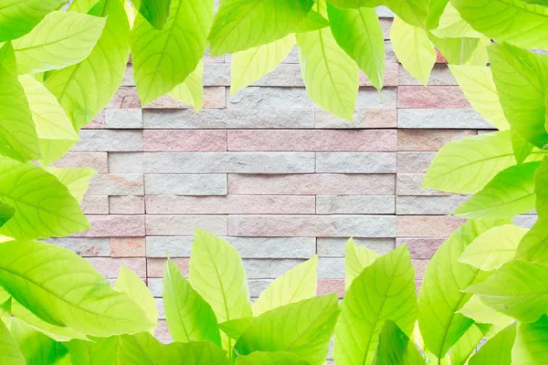 Bricks wall background texture — Stock Photo, Image