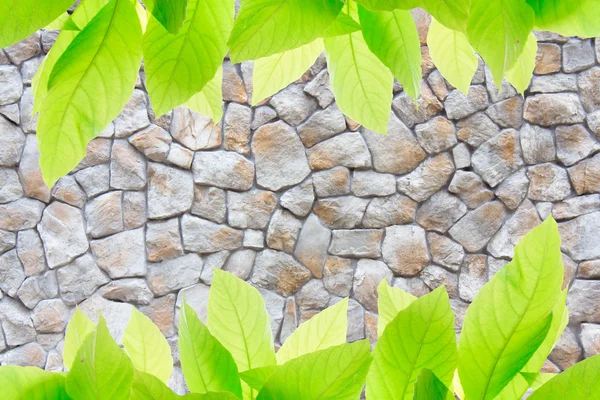 Bricks wall background texture — Stock Photo, Image