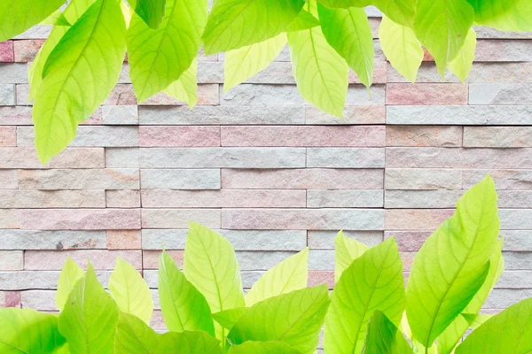 Bricks wall background texture — Stock Photo, Image