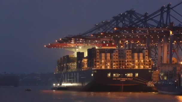 Container ship in the harbor of Hamburg — Stock Video