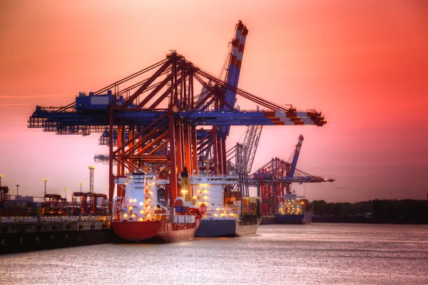 Container harbor — Stockfoto