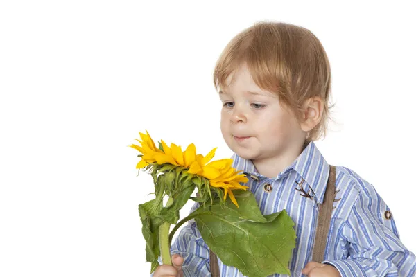 Neugierig — Stockfoto