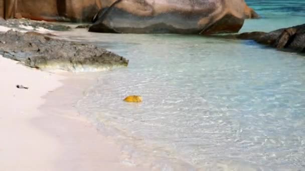 Praia idílica em Seychelles — Vídeo de Stock
