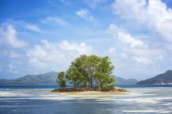 Ilha tropical — Fotografia de Stock