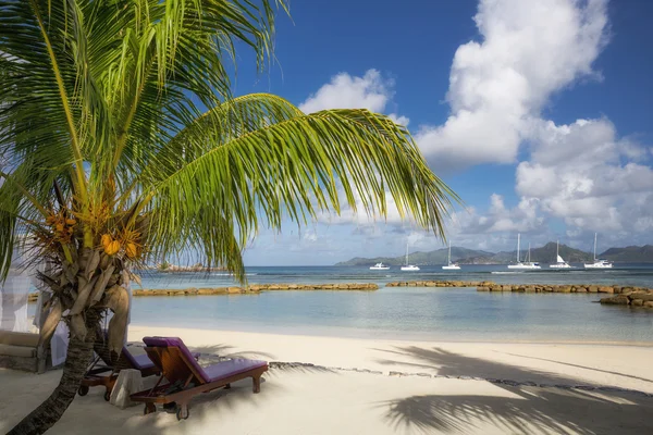 Strandon a La Digue - Seychelle-szigetek — Stock Fotó