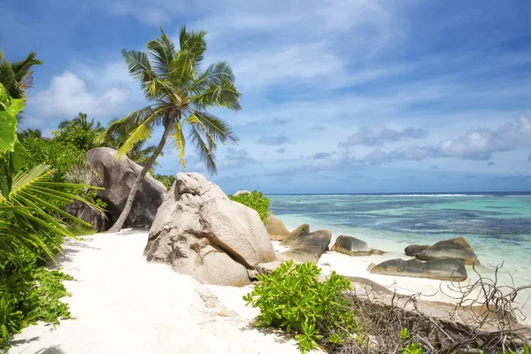 Strandon a la digue, Seychelle-szigetek. — Stock Fotó