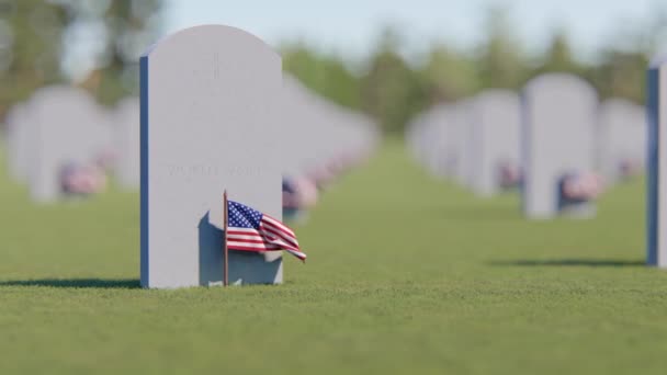Veteranos Cemitério Dia Memorial Feriado Nacional — Vídeo de Stock