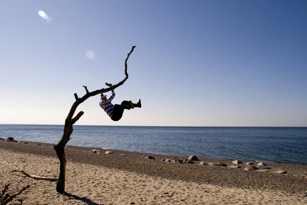 Homme accroché à un arbre — Photo