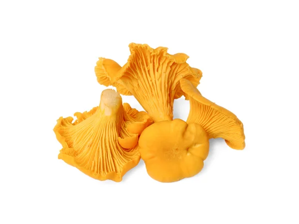 Dört çiğ yenilebilir chanterelles beyaz — Stok fotoğraf