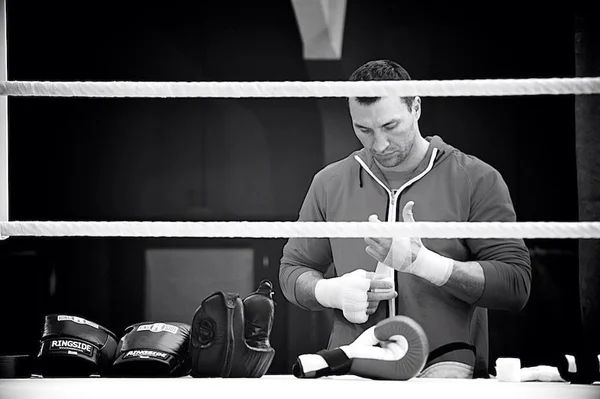 Box, champion, klitschko, training, sparing,бокс, чемпион, спариг,тренировка, нокаут — Stock Photo, Image