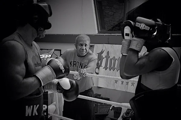 Box, champion, klitschko, training, sparing,бокс, чемпион, спариг,тренировка, нокаут — стокове фото