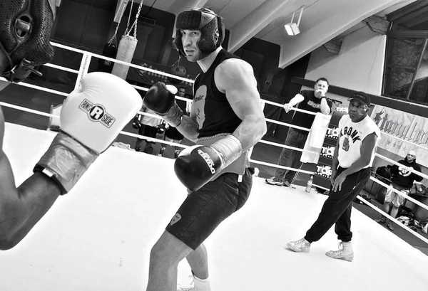 Box, champion, klitschko, training, sparing,бокс, чемпион, спариг,тренировка, нокаут — Stockfoto