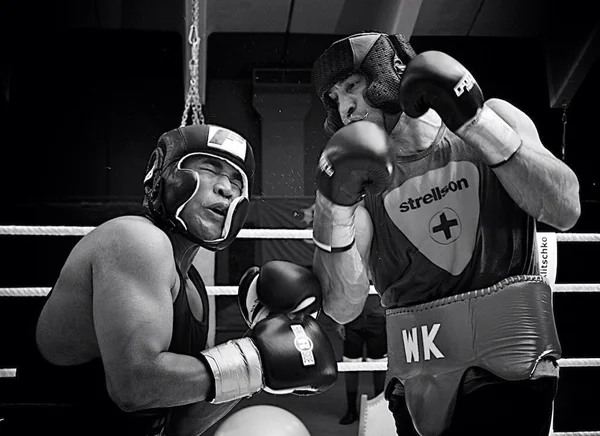 Box, champion, klitschko, training, sparing,бокс, чемпион, спариг,тренировка, нокаут — Stockfoto