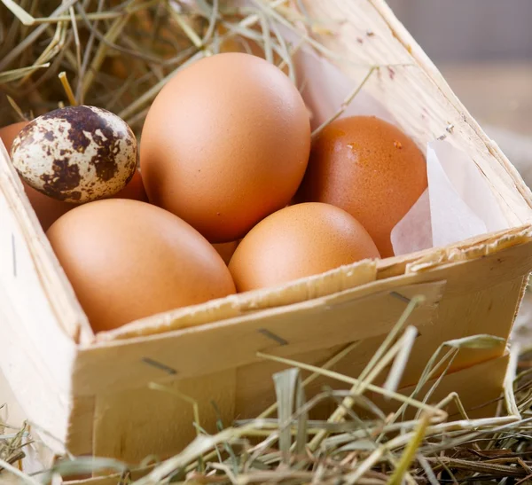 Chicken and quail eggs — Stock Photo, Image