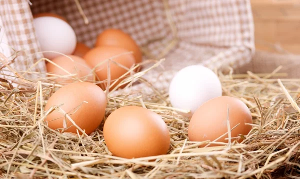 Eco chicken eggs — Stock Photo, Image