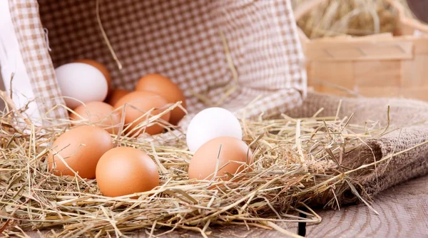 Eco chicken eggs — Stock Photo, Image