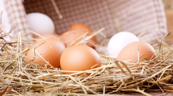 Ekologiczne jaja kurze — Zdjęcie stockowe