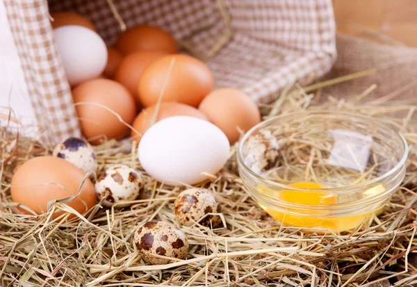 Chicken and quail eggs — Stock Photo, Image