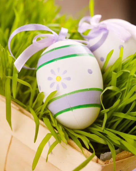 Huevos orientales con hierba en la cesta — Foto de Stock