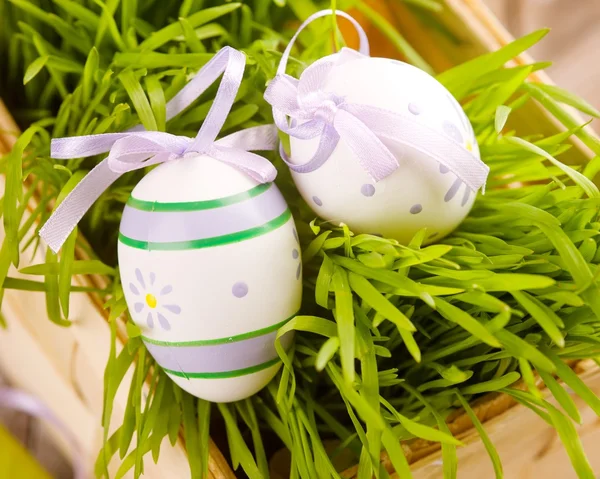 Eastern eggs with grass in the basket — Stock Photo, Image