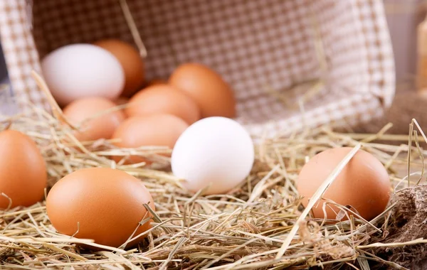 Eco chicken eggs — Stock Photo, Image