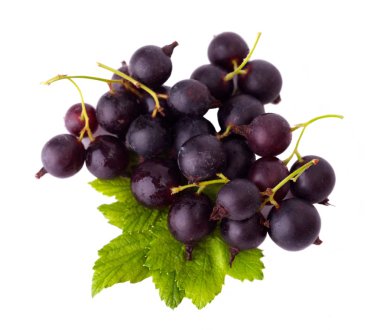 Siyah frenk üzümü