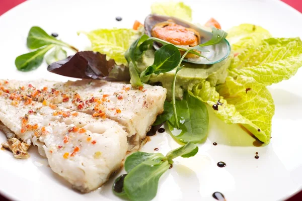 Fish fillet  with clam and herbs — Stock Photo, Image