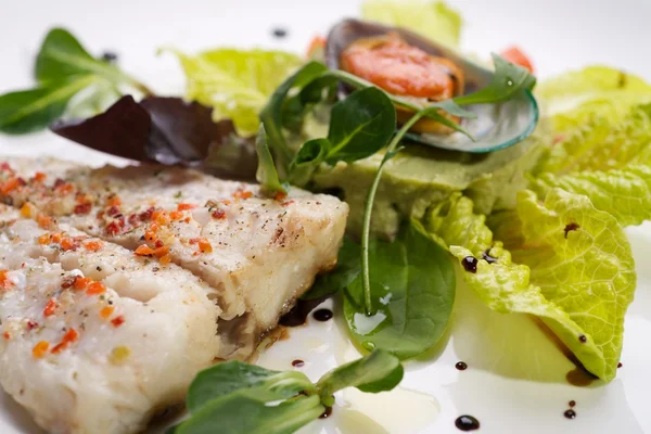 Fish fillet  with clam and herbs — Stock Photo, Image