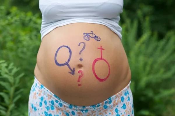 Pregnant belly — Stock Photo, Image