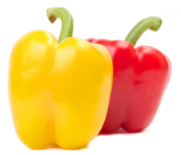 Paprika peppers — Stock Photo, Image