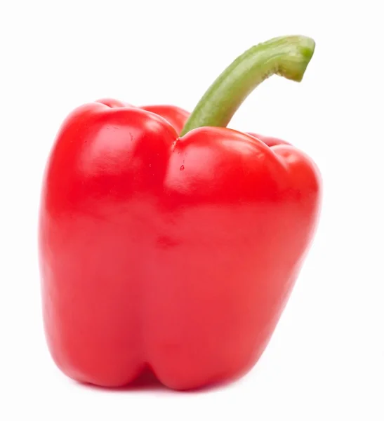 Paprika süß — Stockfoto