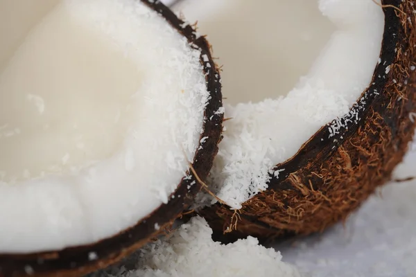 Coconut — Stock Photo, Image