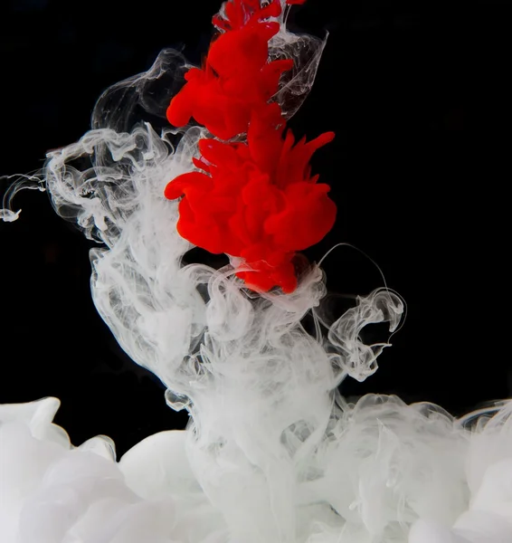 Red and white ink in water — Stock Image Red and white ink in water Stock Picture