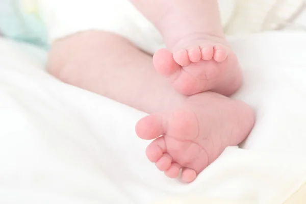 Новорожденные ноги — стоковое фото