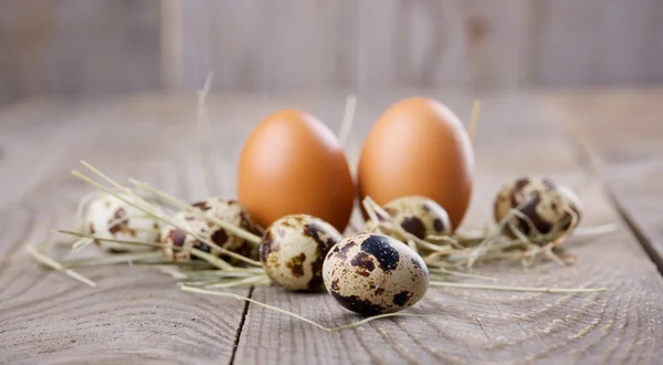 Эко-яйца — стоковое фото