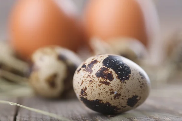 Jaja ekologiczne — Zdjęcie stockowe