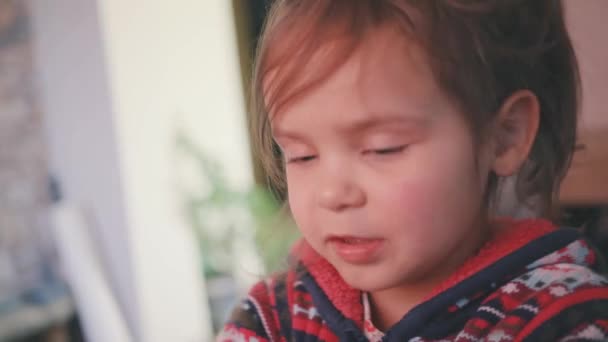 Het gezicht van een klein mooi meisje, een kind van 4 jaar oud, zweert, is verontwaardigd — Stockvideo