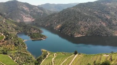 Portekiz 'deki Douro Nehri Vadisi. İnsansız hava aracı tarafından çekiliyor. Yazın güzel doğa.