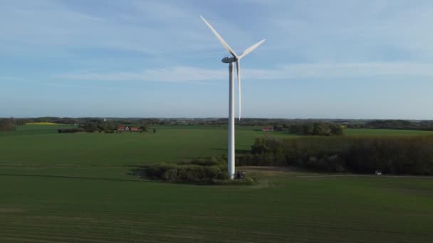 Een windpark staat in een veld, zomer helder weer — Stockvideo