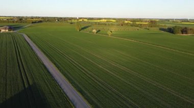 Büyük yeşil tarlalar boyunca yol, şafak, güzel gökyüzü ve manzara, hareket halindeki bir drondan çekim.