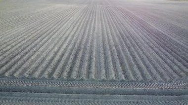 Tarım alanı, bahar işi, tarım, yukarıdan çekim.