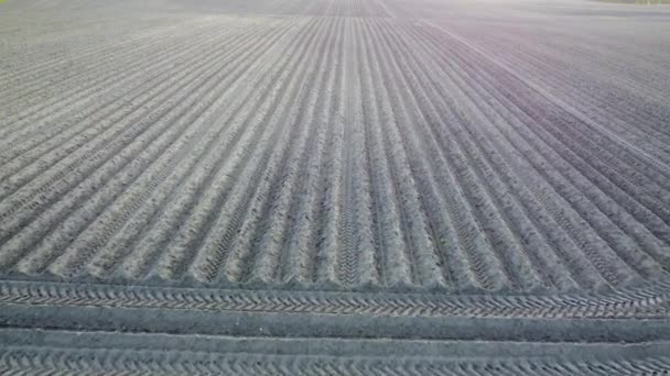 Cultivated Field Spring Work Agriculture Filming Drone — Stock Video