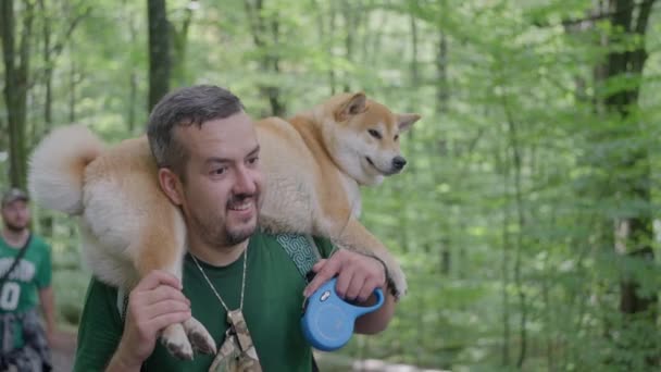 Een Man Toerist Zijn Schouders Draagt Een Hond Een Shiba — Stockvideo