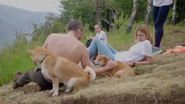 Два Шиба Іну Собаки Туристи Відпочивають Вершині Гори Сповільнити Рух — стокове відео