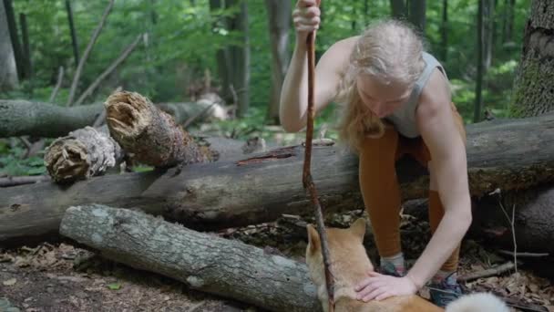 一位山地游客 一位金发碧眼的女人坐在森林里一棵倒下的树上 爱抚着狗Shiba Inu 动作缓慢 镜头质量高达4K — 图库视频影像