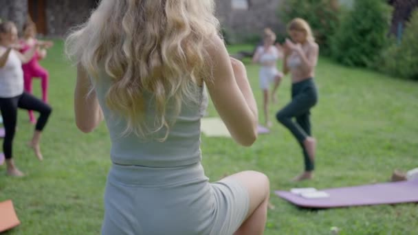 Eine Blonde Frau Vordergrund Mit Freunden Beim Yoga Sommer Gras — Stockvideo