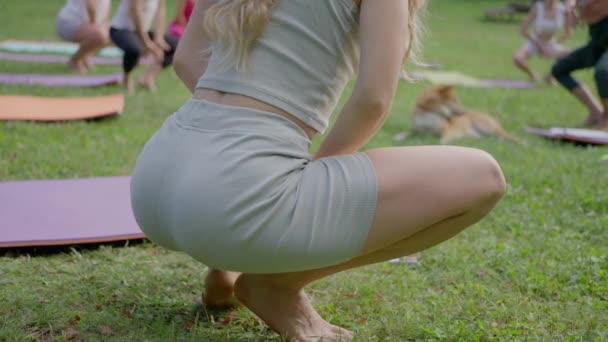 Una Donna Bionda Primo Piano Con Gli Amici Fare Yoga — Video Stock