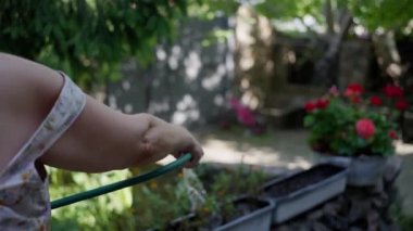 Çiçekleri sulayan yaşlı bir kadın, ön bahçede güller, yavaş çekim, yakın çekim. Yüksek kalite 4k görüntü
