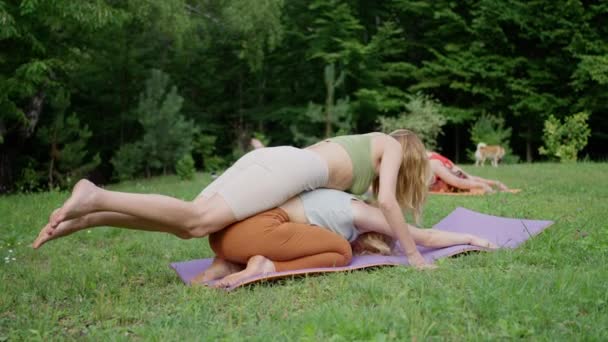 Kadınlar Açık Havada Çimlerin Üzerinde Esnemekle Meşgul Bir Antrenör Uyuyor — Stok video